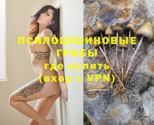дмт Россошь