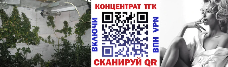 ТГК жижа  мориарти Telegram  Хилок  купить наркотик 