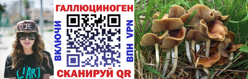 Псилоцибиновые грибы GOLDEN TEACHER  hydra онион  Хилок 
